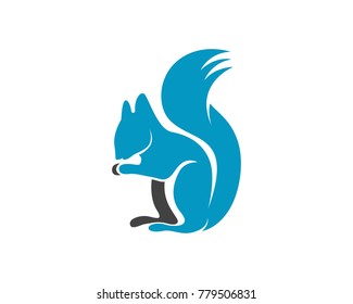 Squirrel animals logo and symbols template icons app