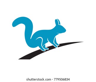 Squirrel animals logo and symbols template icons app