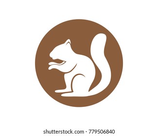 Squirrel animals logo and symbols template icons app