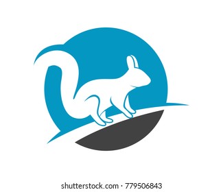 Squirrel animals logo and symbols template icons app