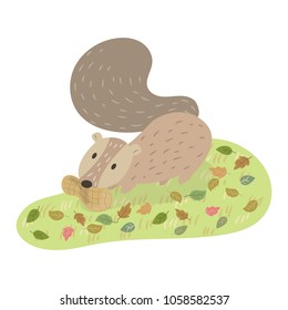Squirrel and a bean in his mouth vector cartoon illustration. Cute squirrel pastel cartoon. 