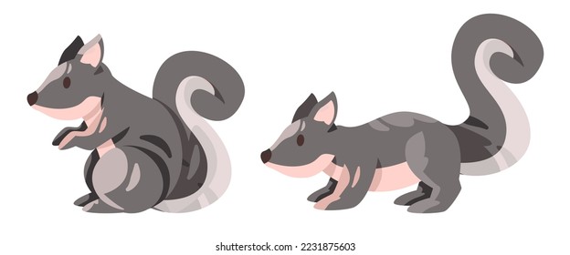 Squirrel big tail standing set collection pose in grey color vector illustration