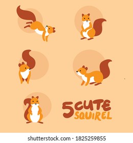 Squirrel cartoon character.Simple animal cute vector illustration