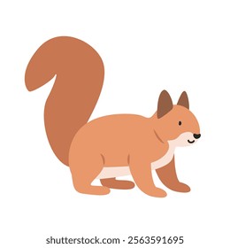 Squirrel cartoon clipart. Squirrel vector illustration in flat style. Hand-drawn wild animal concept