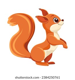 Squirrel. Cartoon drawing. Close-up. White background. For web design and print.