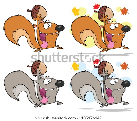 Similar – Image, Stock Photo autumn squirrel