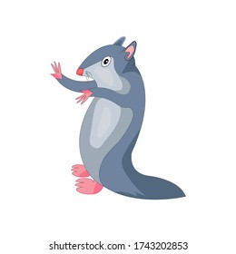 squirrel cartoon vector illustration design.  