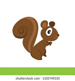 squirrel character design