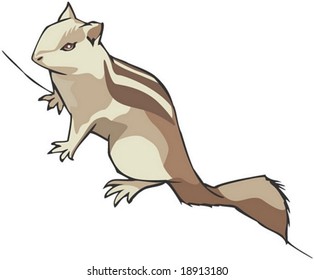 Squirrel Character on white background
