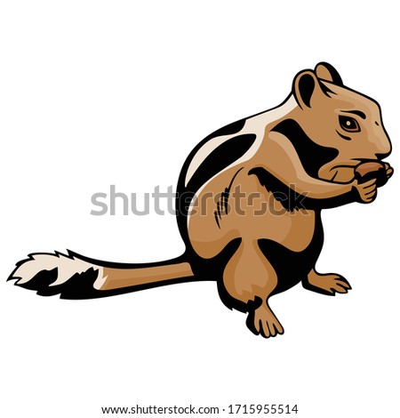 Squirrel Chipmunk Eating nut Animal Cartoon mascot Character Template Collection