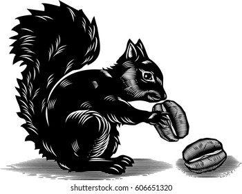 squirrel coffee bean