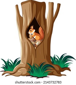 Squirrel collecting nuts in hollow illustration