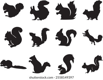 squirrel collection silhouette, mammal wildlife animal, vector illustration. squirrel black silhouette icon, squirrel illustration. Squirrel silhouette vector illustration white background.