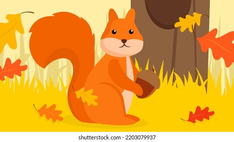 Squirrel collects nuts in autumn forest