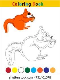 Squirrel color book