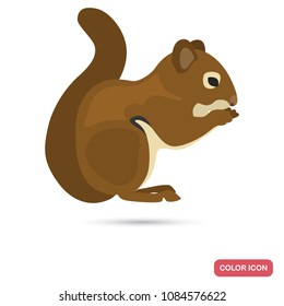 Squirrel color flat icon for web and mobile design