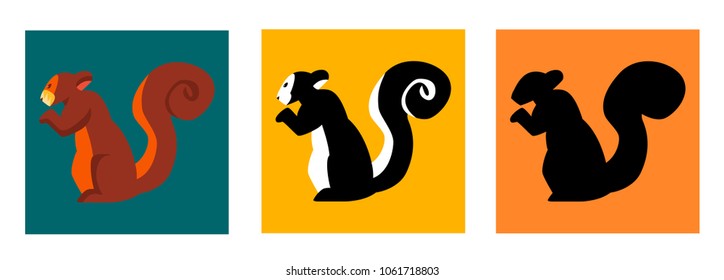 Squirrel Color Variation