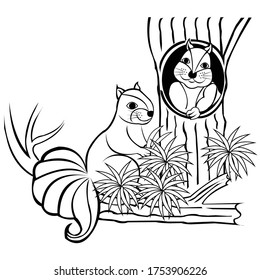 Squirrel. Coloring book. Hand drawn funny squirrel with nut for adult anti stress Coloring Page with high details isolated on white background