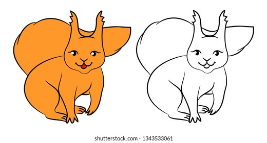 squirrel coloring cute