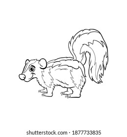 Squirrel coloring page. Cartoon animal for children
