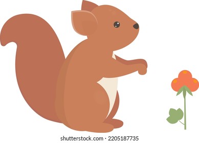 Squirrel cub personage isolated vector illustration for decor