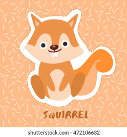 Squirrel : Cute Animal Set :  Vector Illustration