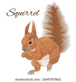 Esquilo bonito bebê floresta roedor vintage aquarela vetor ilustração editável mão desenho