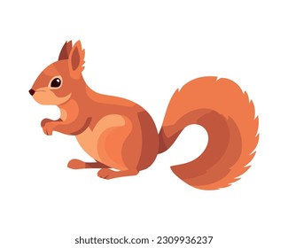 squirrel Cute rodent sitting autumn animal isolated