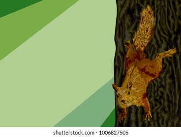 Squirrel descends the tree.