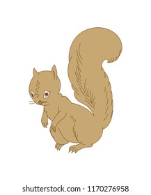 Squirrel Design Illustration