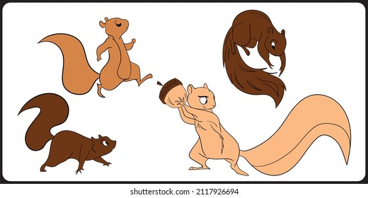 Squirrel different types of reaction vector design