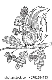 Squirrel Doodle Coloring Book Page. Antistress For Adults. Autumn Vector Illustraion. Black And White