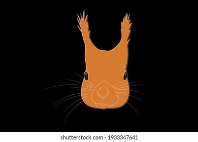Squirrel drawing. Squirrel head full face. Simple line drawing of a squirrel. Wild animal