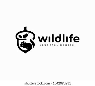 Squirrel eating acorn logo design. Oak seed with chipmunk vector design. Oak tree and rodent logotype