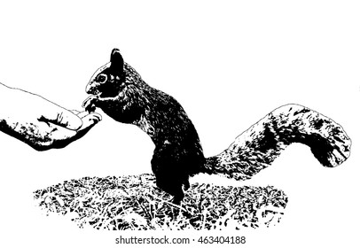 Squirrel eating a handful of peanuts. 