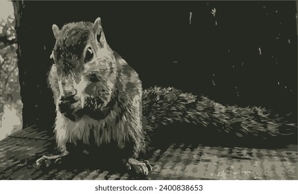 Squirrel eating his breakfast. Wild squirrel.