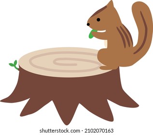 Squirrel eating on a sprouting stump
