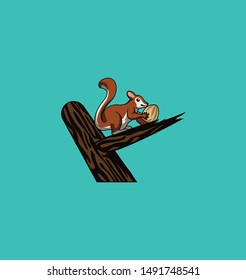 squirrel eating walnuts in the branch 