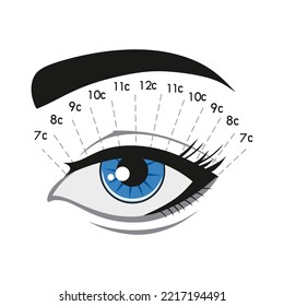 El efecto ardilla. Extensión de Eyelash. Instrucción. Procedimiento. Tipo y forma de las pestañas. Ojo azul. Tutorial.