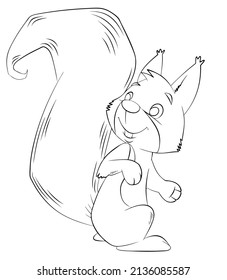 Squirrel. Element for coloring page. Cartoon style.