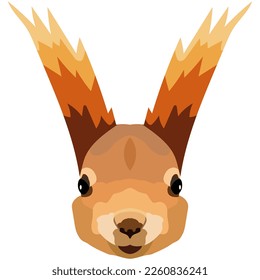 Squirrel face. An illustration of the muzzle of an orange rodent is depicted. Bright portrait on a white background. Vector graphics. animal logo