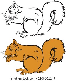 Squirrel, squirrel figure, realistic image, vector, positions, illustration, black and white, color, silhouette, logo, trademark, chevron