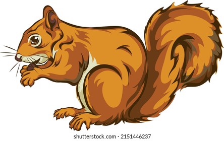 Squirrel, squirrel figure, realistic image, vector, positions, illustration, black and white, color, silhouette, logo, trademark, chevron