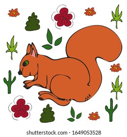 Squirrel flat hand drawn illustration. Cute cartoon animal character on botanical background. Wild animal vector poster 