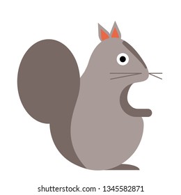 squirrel flat illustration on white