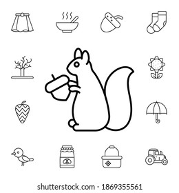 Squirrel flat vector icon in autumn pack