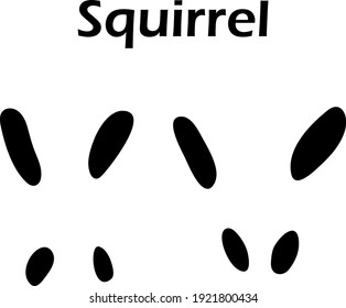 Squirrel Footprint. Black Silhouette Design. Vector Illustration.