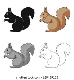 Squirrel is a forest animal. The squirrel has a fluffy tail. The squirrel ears with a brushAnimals single icon in cartoon style vector symbol stock illustration web.