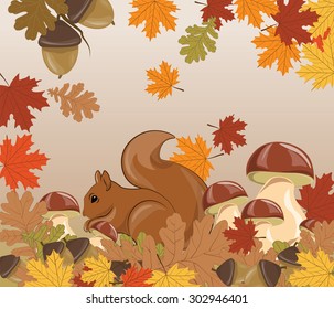 Squirrel in Forest. Autumn background with leaves, acorn and mushrooms. Vector