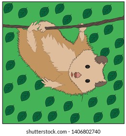 squirrel in the forest with green background vektor